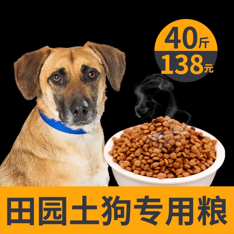 ŷ�����л���԰Ȯ������ͨ����ר����Ȯ��Ȯͨ����40��װ ��Ȯר��40��