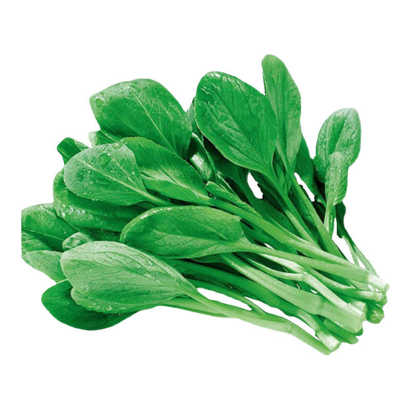 ���������ͥ��ֲ�߲����Ӵ�ȫ�ļ�������̨����ũ��ͥԺС��԰�л���˲� ��������2�� 9.1Ԫ