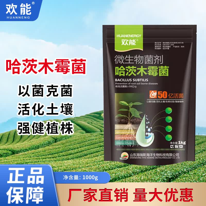 ܿݲѿ߾˾ľù΢ũ΢лʸ ¿1000g*1