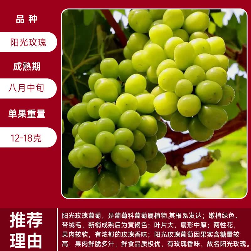 ����԰�޷������m����õ������ʯ�������������Ϸ�������ֲ����ͥԺ���� ����õ��������7���統����