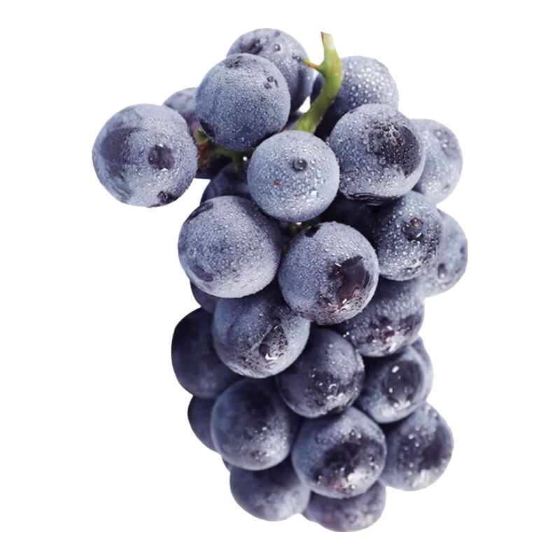 ZOCO�޷����ѵ��ղ�ժ����ʱ���и�ˮ�������и�ˮ�� ��ѡ�޷�5��װ�����أ�