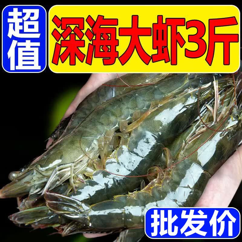 ൺϺϺʴϺ䶳ʻൺϺΧϺϺ 15-17Ϻٶ 3()49.9Ԫ