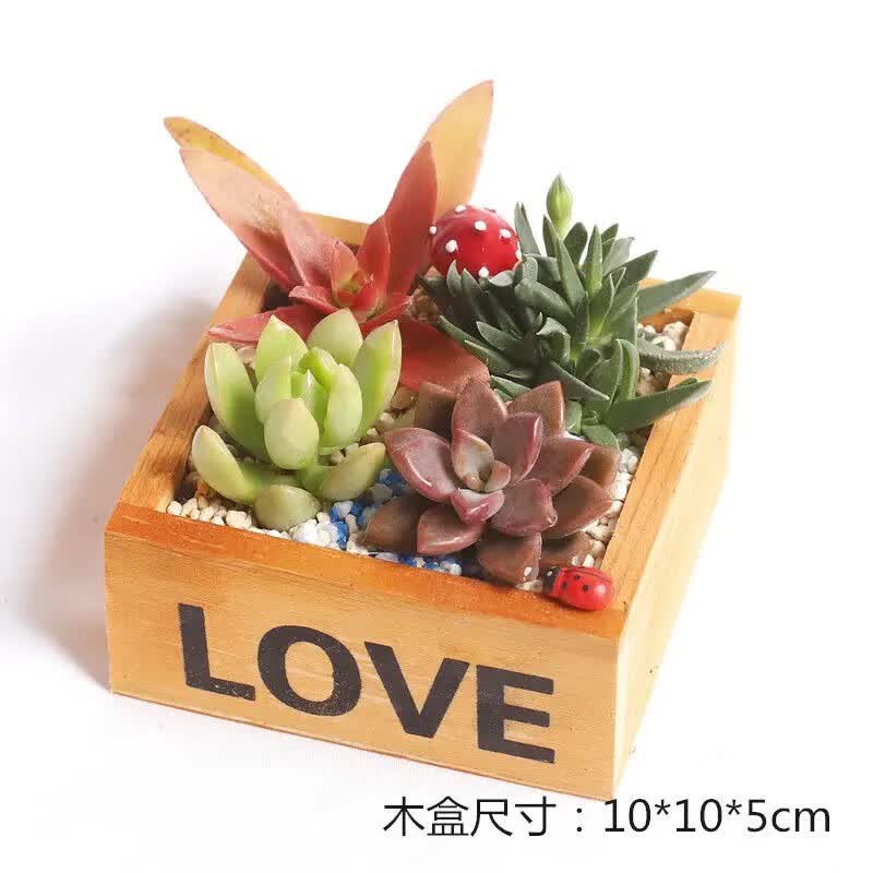 �����ȶ���ֲ����� ��love ľ�У��Ŀ������ ����