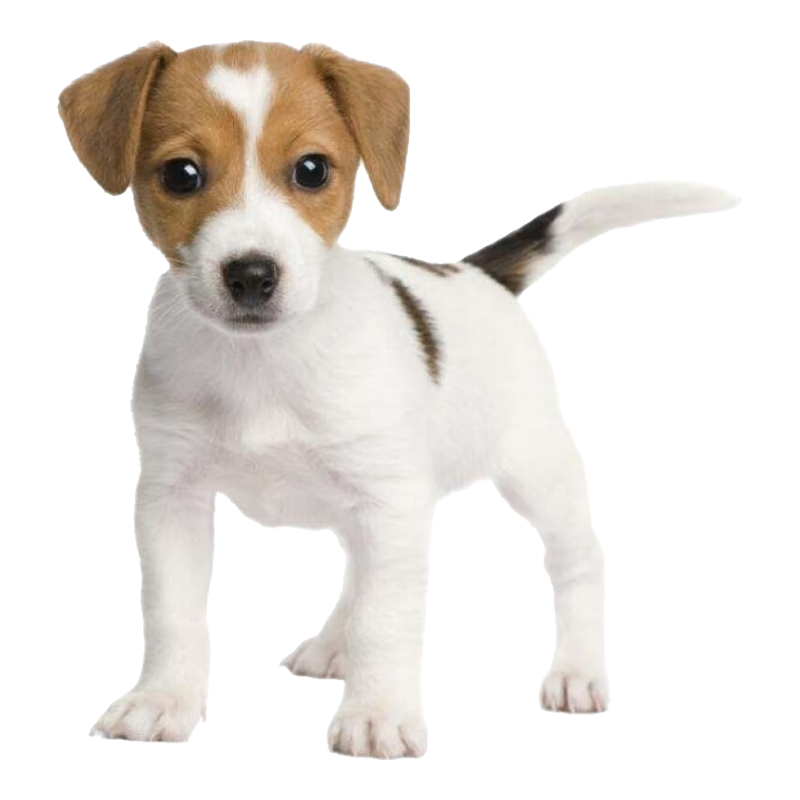  л԰ȮȮСƹС׹ֹ ԰ ɫ԰Ȯ ĸע