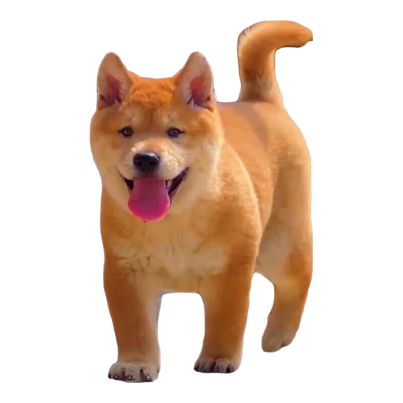 л԰ȮȮƹ滢Ȯ ԰ ƹ ĸ