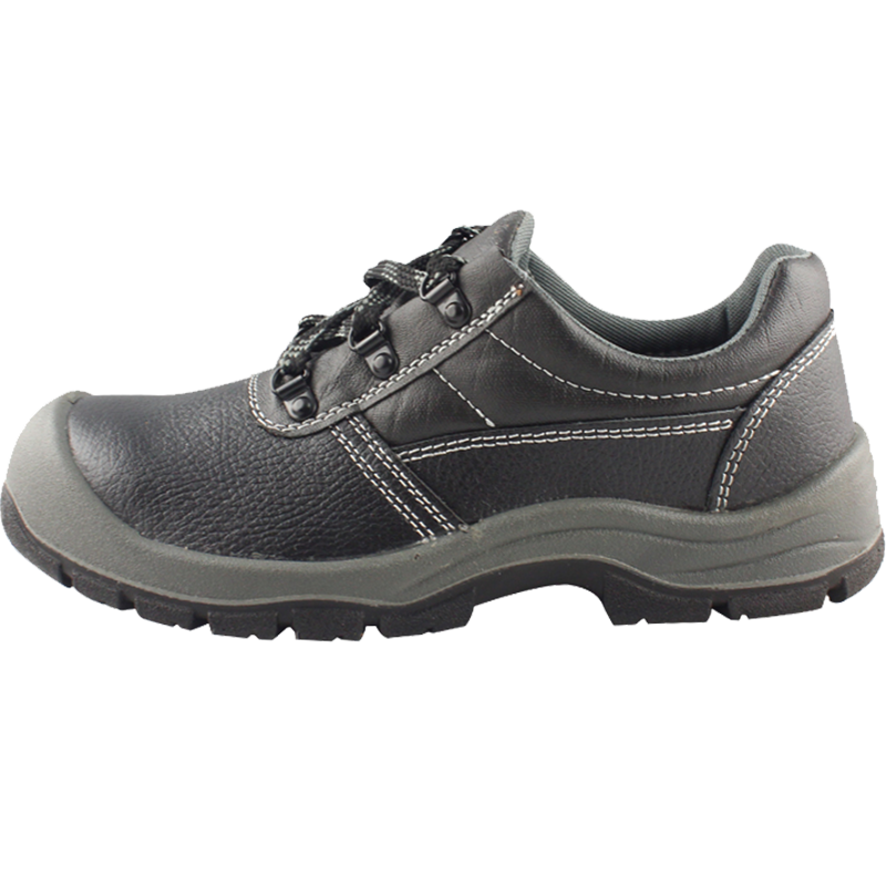 DUNWANGͱЬŮҷ̴ְ尲ȫЬţƤͷЬĥ͸ (ҷ̴ ˫ 41