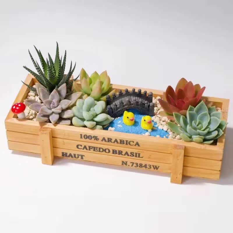 �����ȶ���ֲ��������Ժ��躬������diyƴ�̻�������ֲ��������ֲ���� ľ��СѼ ����