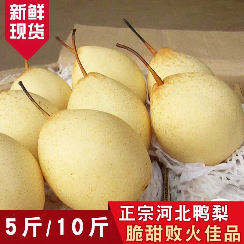 �������� �ӱ�Ѽ���� ����ˮ������ �����������  ����5����ͨװ 13.97Ԫ