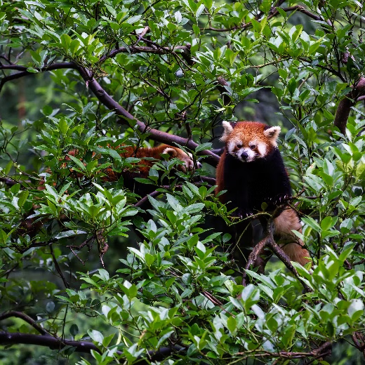 Աר̷ϿػƱ Ʊ Աר Ʊ