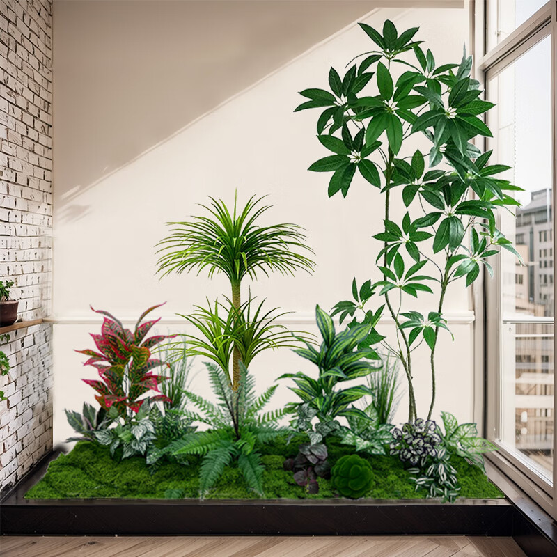 ɭֲ쾰¥̳װβųֲ̈԰ھ +ɢβײQ2׳