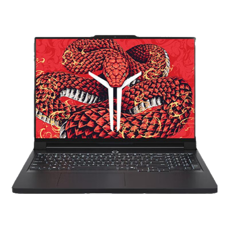 R9000P 2025ҲϷ羺ѧƱʼǱ  R9-8945HX 32G 1T 5060  2.5K 240Hz 16Ӣ羺