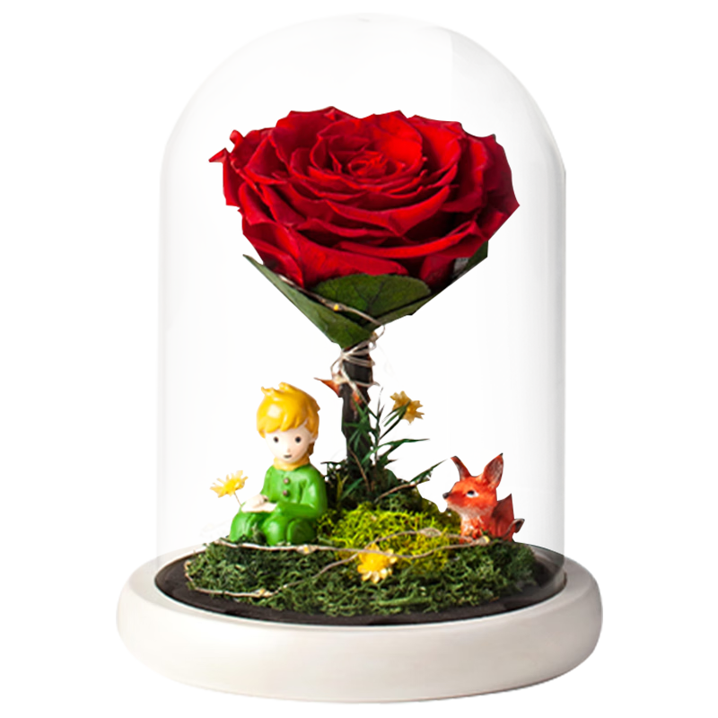 ����Ȼ��Ivenran�����������������������Ůʿʥ��������������С������õ��ڼ� 169Ԫ