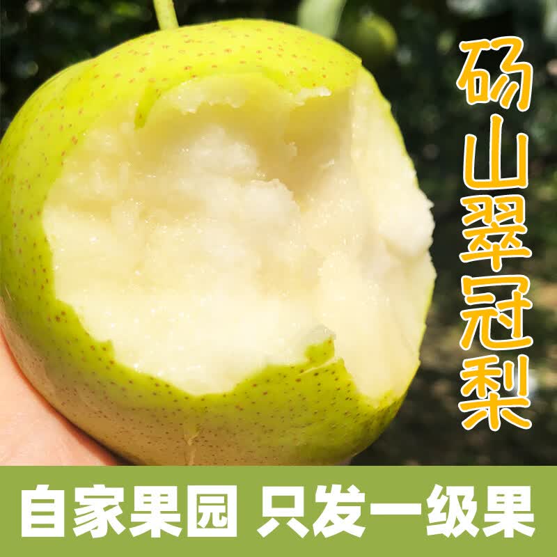 ����԰������ɽ�ʹ����汬������� ��Ƥ������Ӧ��ˮ�� 4.5��װ �ش������Լ300g