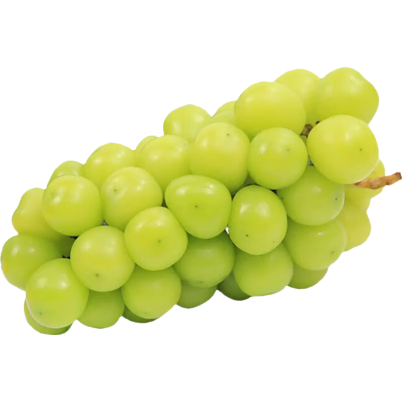 ����Ӫ��18���ؼ���������õ������900g (����13g��)