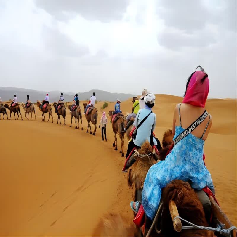 ʲ56С-׶ԭ++ŵ++ɳĮ ʲȫ5+ס 