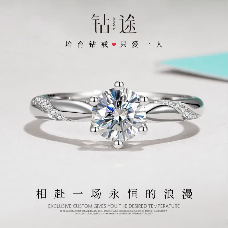 ;˹ʯһVVS2ָ΢С˽ һ/D/3EX/VVS2 ڣɵڴС 1820Ԫ