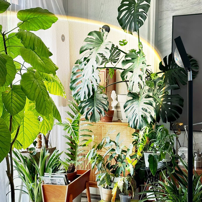 KITVONAȫ����ֲ�ﲹ��Ʒ�̫���������������ֲ���ܶ�ʱ������ 10W��20CM����׵��ֶ����� 3000K