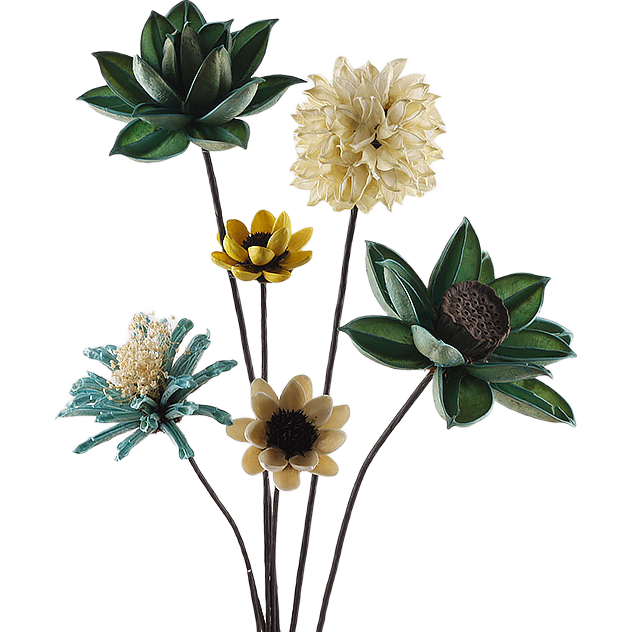 ��Ȼ�ɻ������廨�ɹ��滨insװ�ΰڼ��ҾӰ������С���¸���֦ ������ƿ�ײ�08 ������ƿ