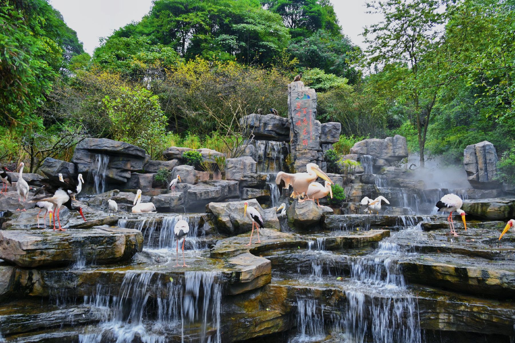 ̷ϿҰƱ+͹۹⳵+ΪչʾƱƱ׼ һƱ ػһƱ Ʊ+۹⳵+Ϊչʾ