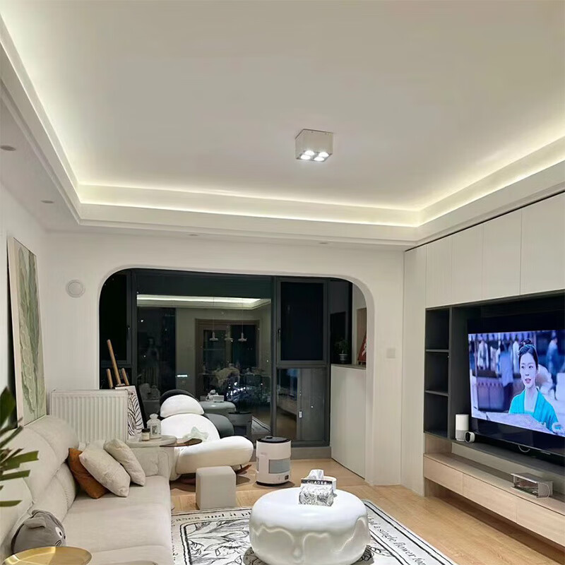 ��ʿ����˫��Ƥ���Ϸ�����װ���εƿ������߲�װ�ϴ�����͵�ƽװF�͵Ʋ� ������װ��+��ʿLED��Դ1�� ��ѹ24V ů�׹� 4000K