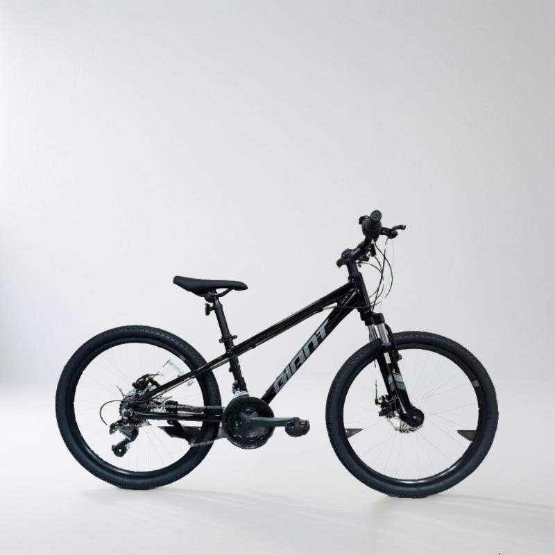 �ݰ��أ�GIANT��ATX600 ŷҰ600��������Ů��ѧ��˫��ɲ���ٵ�ɽ���г�24�� ŷҰ600__24___�ں� 24��_21��_24��