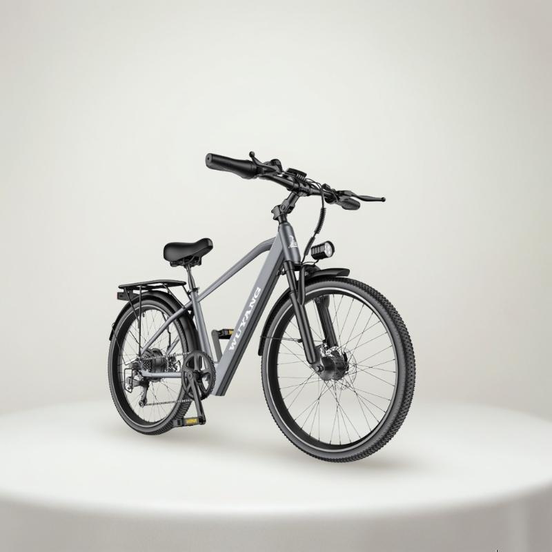 ����﮵�������綯���г�����ŵ���ٳ�������ɽ�س���Ůʿ˫��ɲ���� ˮ���T8-���ص��-10ah-����100km 1794Ԫ