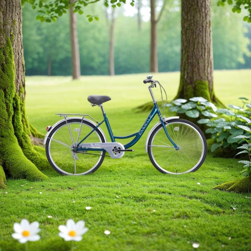 ��������������ʡ�����������г���̼�ְ���С�㳵�����ó���ͨ�ڳ� �������� 24Ӣ��