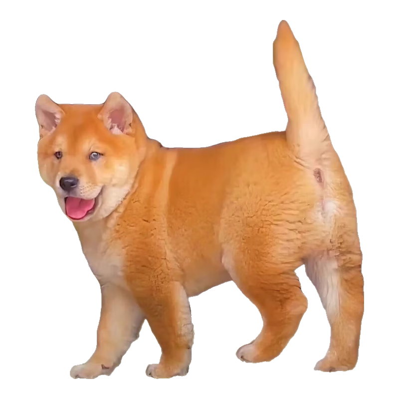 л԰ȮȮƹ滢Ȯ ԰ ƹ 