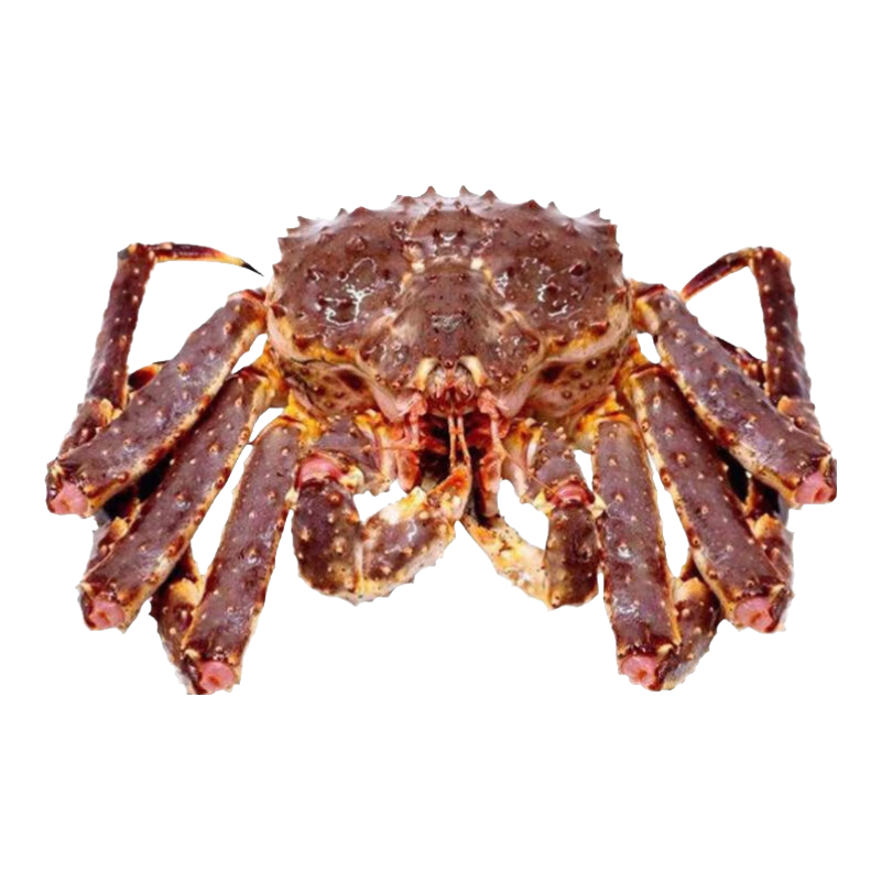 ������ ����з����˹�����ش��ʻ���ʳ���ʵ�з���з��н������� ����4-4.5�ʵ�ݡ� 468Ԫ