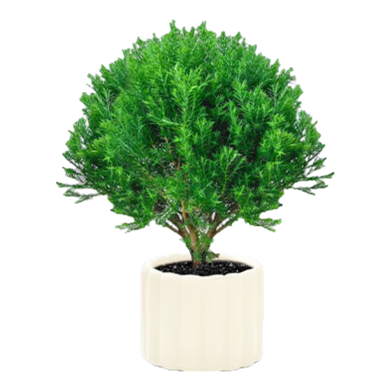 ����һ�����������ֲ��������С������ڡ�칫�����������ֲ��ڼ��ļ����� ��ڡ������Ȧ�մɣ�+�����ɵ���+��ɫ����ʯ+����