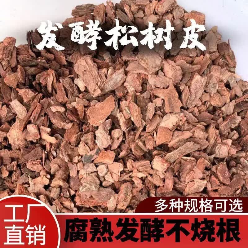 ɭƤ19︯רӪ鷢ʯֲ 58-15 9