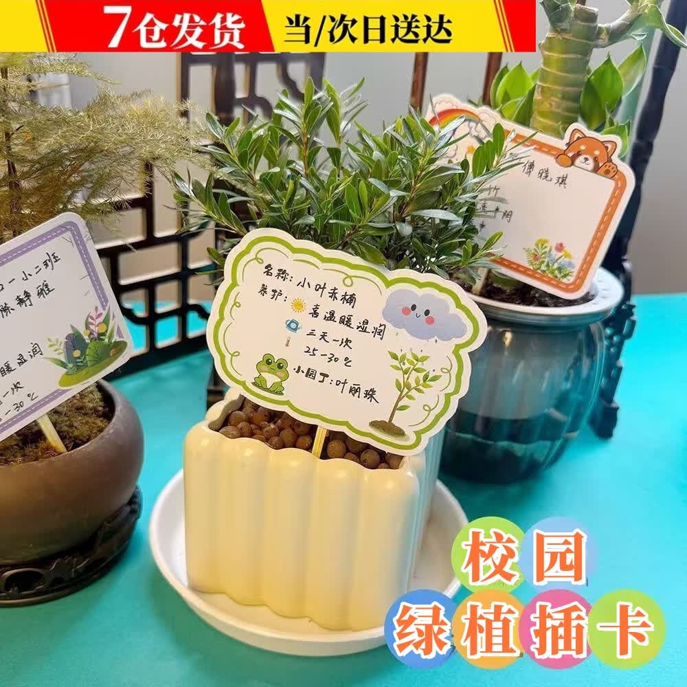 өֲư༶ֲװ׶԰Աʶƽ԰ձǩ 66ֲ忨++ǩ+׽