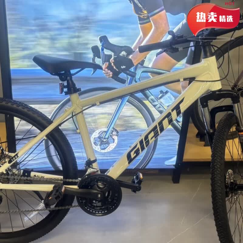 ݰأGIANT26 ŷҰ700 ɷ21ٵɽг ѩɽ M 2617.5__165-180cm_2