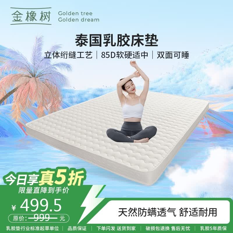 ������笷��齺��������˫�˴��� ���� 1.5*2�� ��Ӳ���� 499.5Ԫ