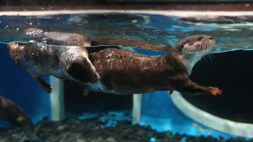 [�ɶ�-�����Ǻƺ���������԰]�����Ǻƺ���������԰ȫ��Ʊ �����Ǻƺ���������԰ȫ��Ʊ ��׼�� ����Ʊ 188Ԫ