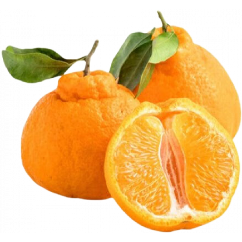 Ѱ  ˮ  5ﾫѡӡ70mm+4.5 Դͷֱ 11.8Ԫ