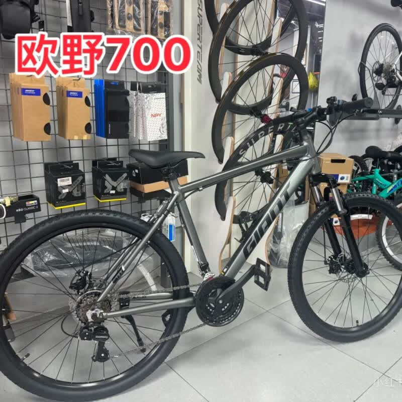 �ݰ��أ�GIANT��26�� ŷҰ700 ��ɲ21�ٵ�ɽ���г� ����ľ̿�� S 26��15.5__��������155-170cm_2