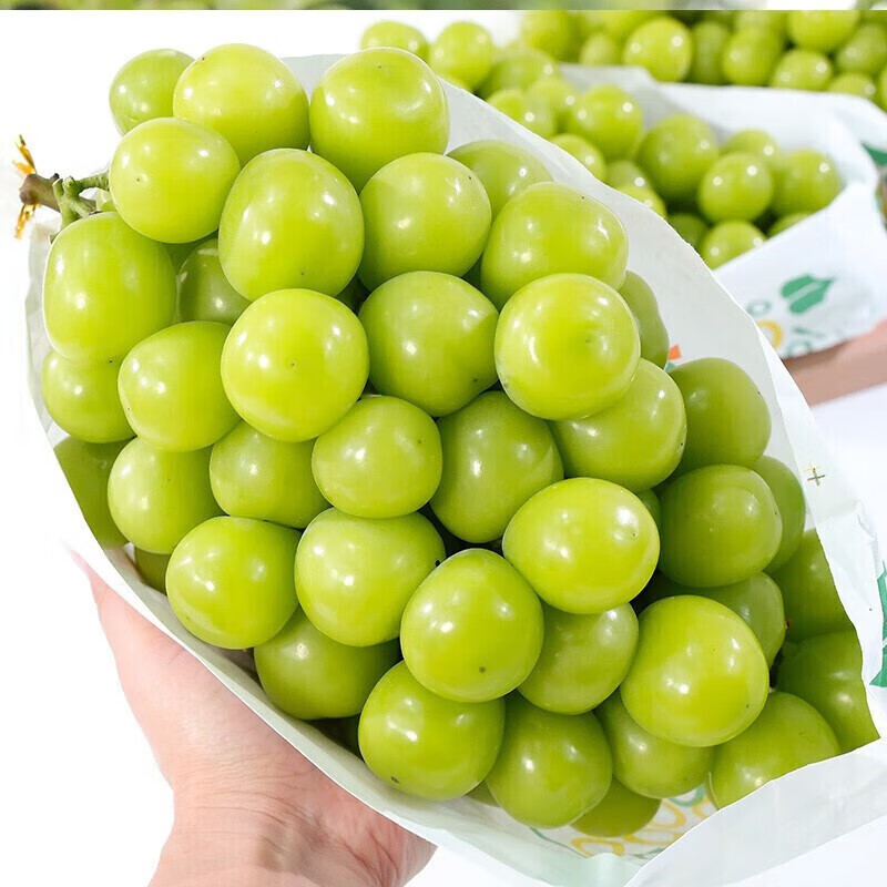 ���ɹ� ��������õ���������� һ����2�� ԭ�䴮װ ����8-10g 24.8Ԫ