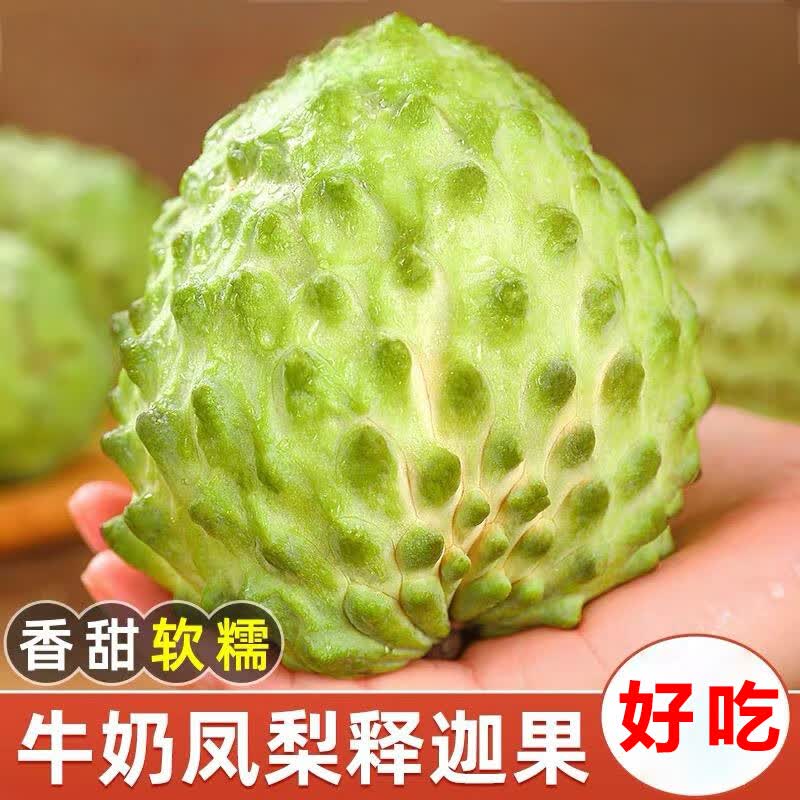 ��ӭ���ʷ������ȹ����ʹ���Ӧ�����ȹ�ˮ��ţ�̷������������������� 3�ﾫѡ����������Ŵ����2.5�� 20.9Ԫ