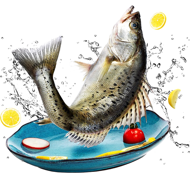 海名威 国产冷冻三去海鲈鱼450g 1条 鱼身开片 （内含清蒸调料包） 生鲜 海鲜水产 年货节 健康轻食