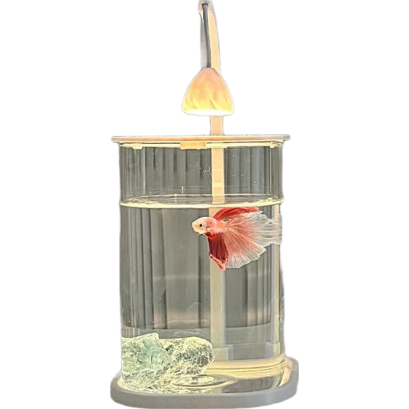 �����������������������С��͸����������̬װ�����˰칫�ұ��� ���챬��Բ�Ƿ�����ף����ƣ� 10*10*15cm ���챬��������ס�����������