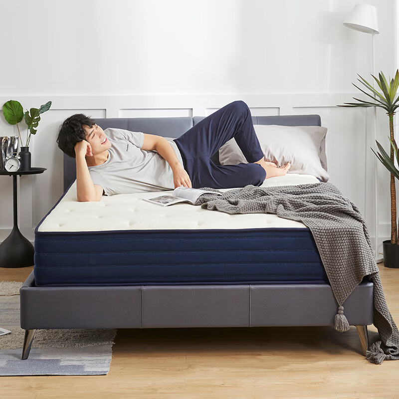 ������̩��������Ȼ�������齺���浯�ɴ���ϯ��˼ 180*200*22cm ������ 2299Ԫ