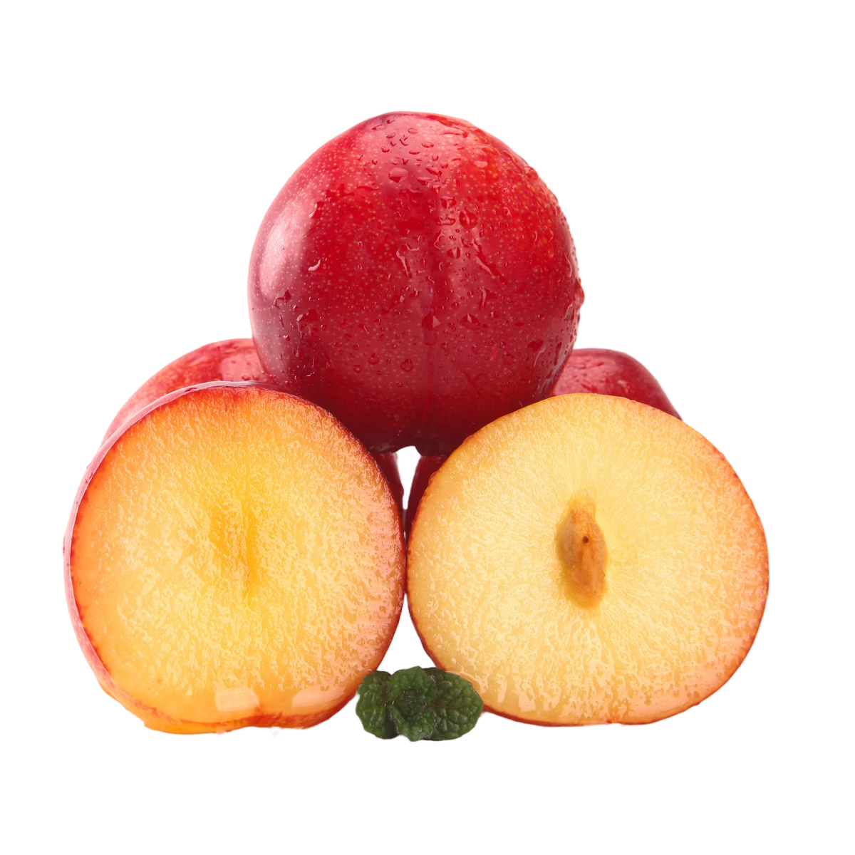 ������ ��������ӣ���� 3J�� 5�����װ ������