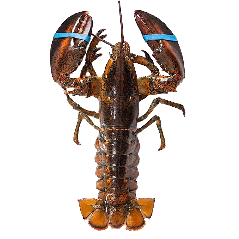 �����ʲ�ʿ����Ϻ���޴���Ϻ �ʻ��䶳������Ϻ1-10�������������� 1�� -1.3��*2ֻ���ʶ�����������