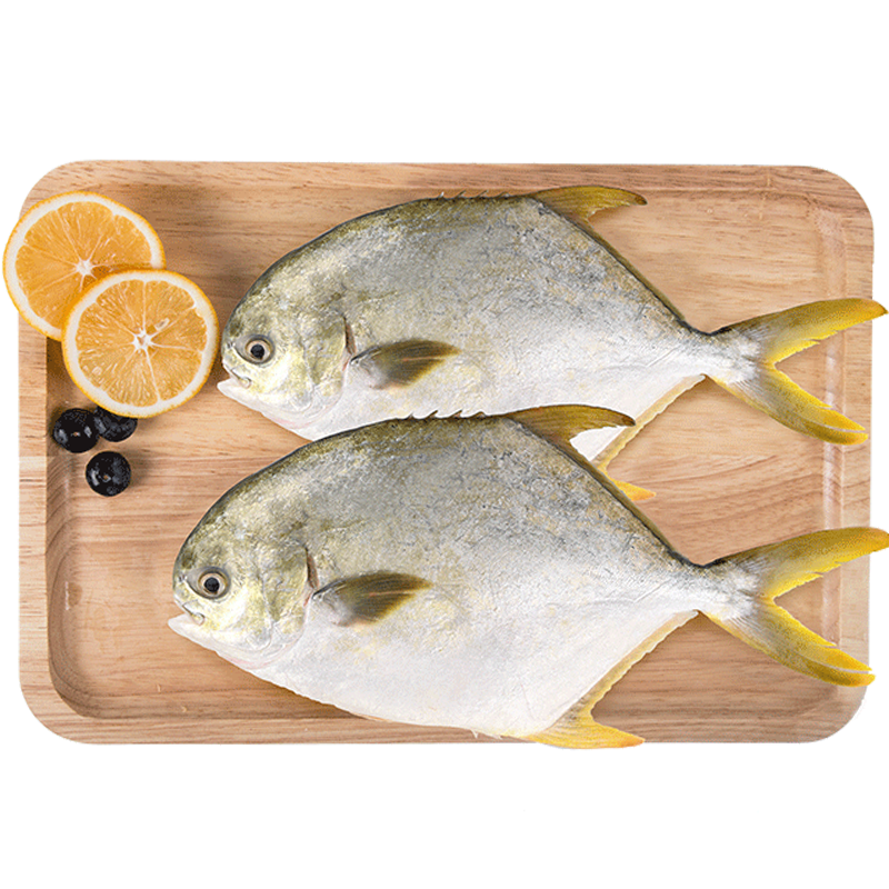 翔泰 国产海南金鲳鱼700g（2条）烧烤食材 无公害 全程可追溯 鱼类 生鲜轻食 BAP认证 海鲜水产