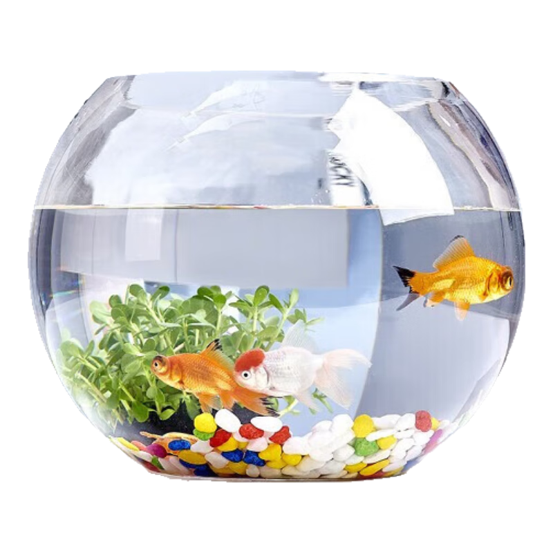 ��Բ�°칫��С��׼Ӻ�͸�������ڹ�׿�����������Բ������С�ͽ���� 25CMԲ��+��ʯ6����