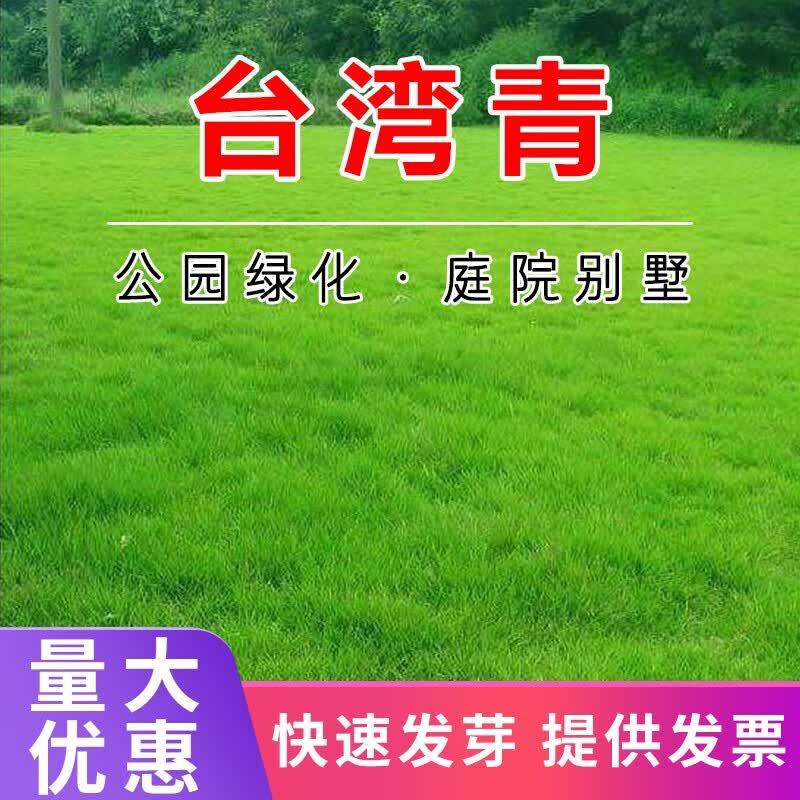 ��ѩ���ڲ�ƺ���Ӳ��Ѱ����ļ���ͥԺ�̻��ļ����໤�����޼������� ̨��������1�� 12.9Ԫ