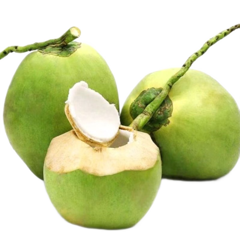 �ʹ���Լ����Ҭ�� ����Ҭ���Ĳ���Ƥ��Ҭ�Ӽ��и�����ˮҬ��Ҭ���и�ˮ�� 8����Ƥ 49.9Ԫ