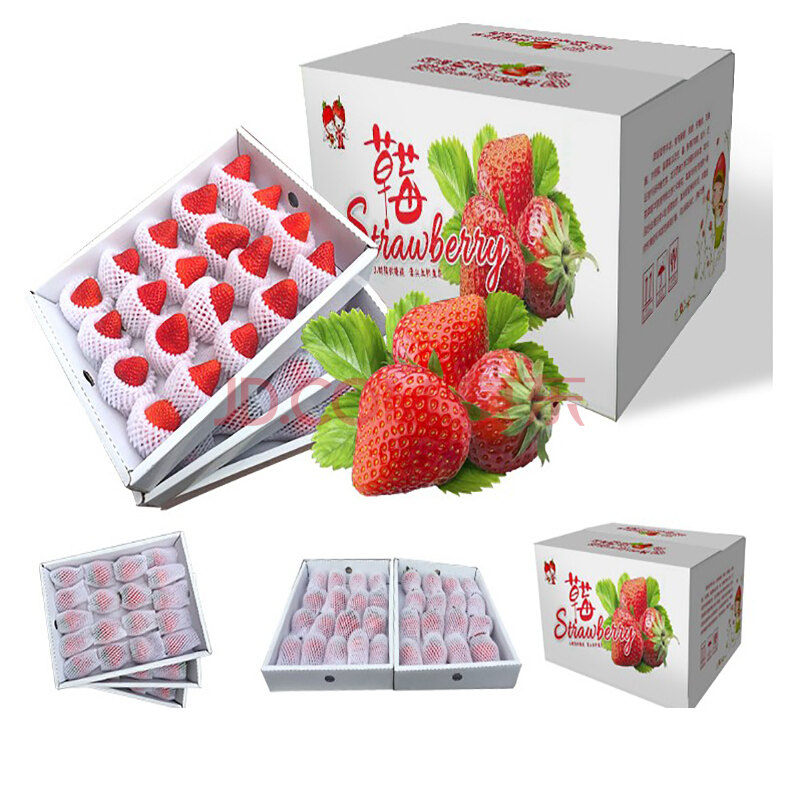 合肥长丰红颜奶油草莓 牛奶大草莓新鲜冬季水果非丹东99草莓 1.5kg礼盒装