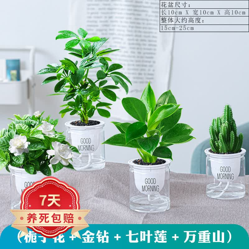 ӣϼ��˳�����š�����ֲ���������澻������ˮ��С��ֲ�������������� ����ɽ+���ӻ�+��Ҷ��+���� ����